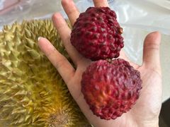 -银座购物广场(高新区店)