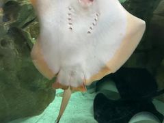 -珠海长隆海洋王国