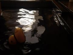 -春晖园度假酒店温泉