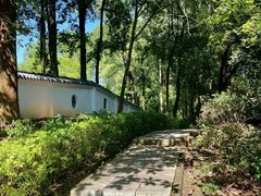 -火炉山森林公园