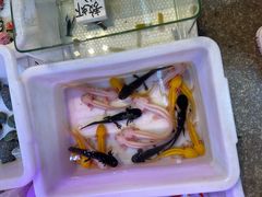 -双季花艺园艺市场(浦东店)