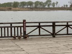 -野鸭湖国家湿地公园