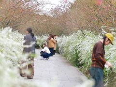 -共青国家森林公园-售票处