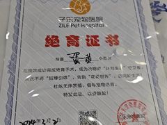 -子乐宠物医院