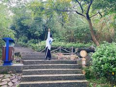 -巢湖姥山岛