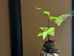 -觀芷隐轩