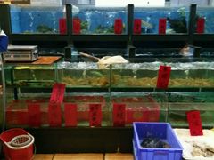 水产区-风味酒家(商业大道店)