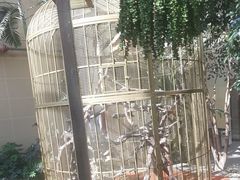 -郑州银基黄帝宫御温泉