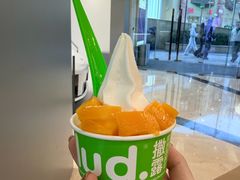 -Salud撒露欧洲冻酸奶(蓝色港湾店)