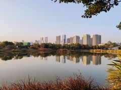 -福田红树林生态公园