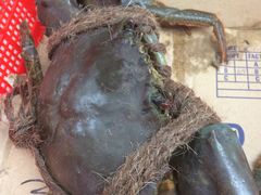 -龙海鲜螃蟹王(宏茂桥店)