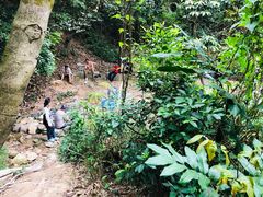 -火炉山森林公园