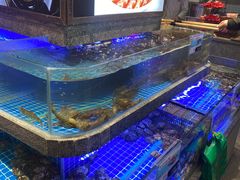 -鸽子侯·家宴·平价海鲜(绿地店)