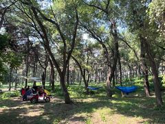 -长春市南湖公园