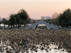 -长春市南湖公园