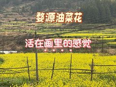 -科兴科学园