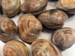 -青蓬蒸汽海鲜·深圳老字号·团建聚会(壹方城店)