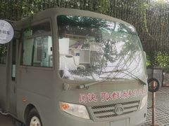 -望湖烤鱼