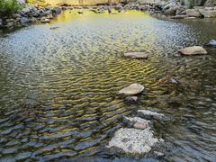 -北仑森林植物园