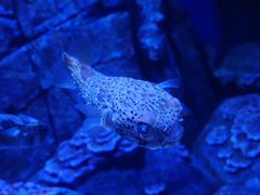 -成都浩海立方海洋公园