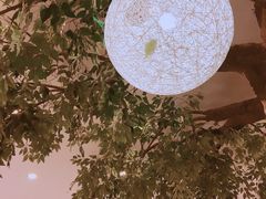 -红叶日料·放题·海胆·定食(星海店)