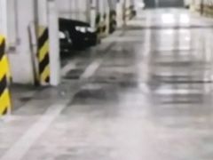 -上海浦东国际机场T1航站楼-P1停车场