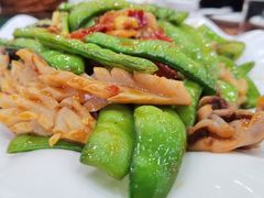 -柳饮·春柳酒家