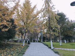 -宁波儿童公园(鄞州区)