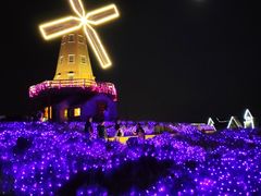 -大塘金香草谷