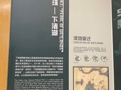 -下渚湖国家湿地公园科普馆