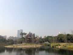 -四海公园(南山区)