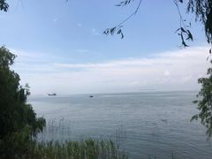 -湖南东洞庭湖国家级自然保护区