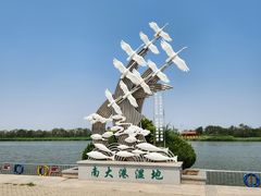 -南大港湿地风景区