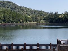 -海南热带雨林国家公园吊罗山景区