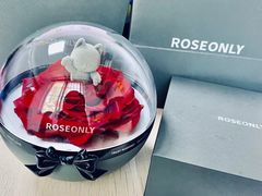 -ROSEONLY诺誓(广州K11店)