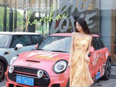 -上海普陀宝诚MINI4S店(红柳路店)