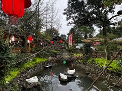 -青城甲(青城山店)