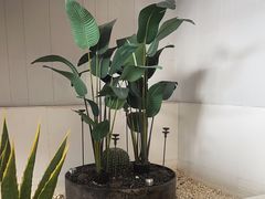 -金香匯晚茶(浑南店)