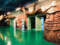 -杭州开元森泊度假乐园