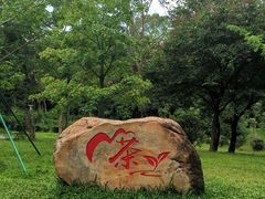 -广州市白云山风景名胜区