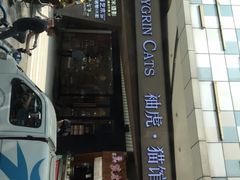 -袖虎·猫馆(体育西路店)