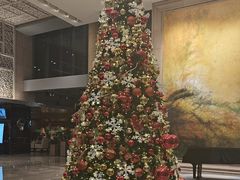 -北京朝阳悠唐皇冠假日酒店