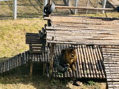 -青藏高原野生动物园