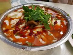 -龙梅肥肠鱼(明瓦廊店)