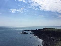 -涉地可支
