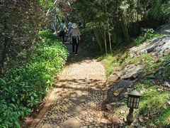 -南诏风情岛