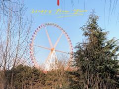 -石家庄极地海洋世界