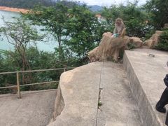 -广州市流溪河国家森林公园