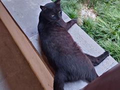 -苏州文庙(姑苏区)