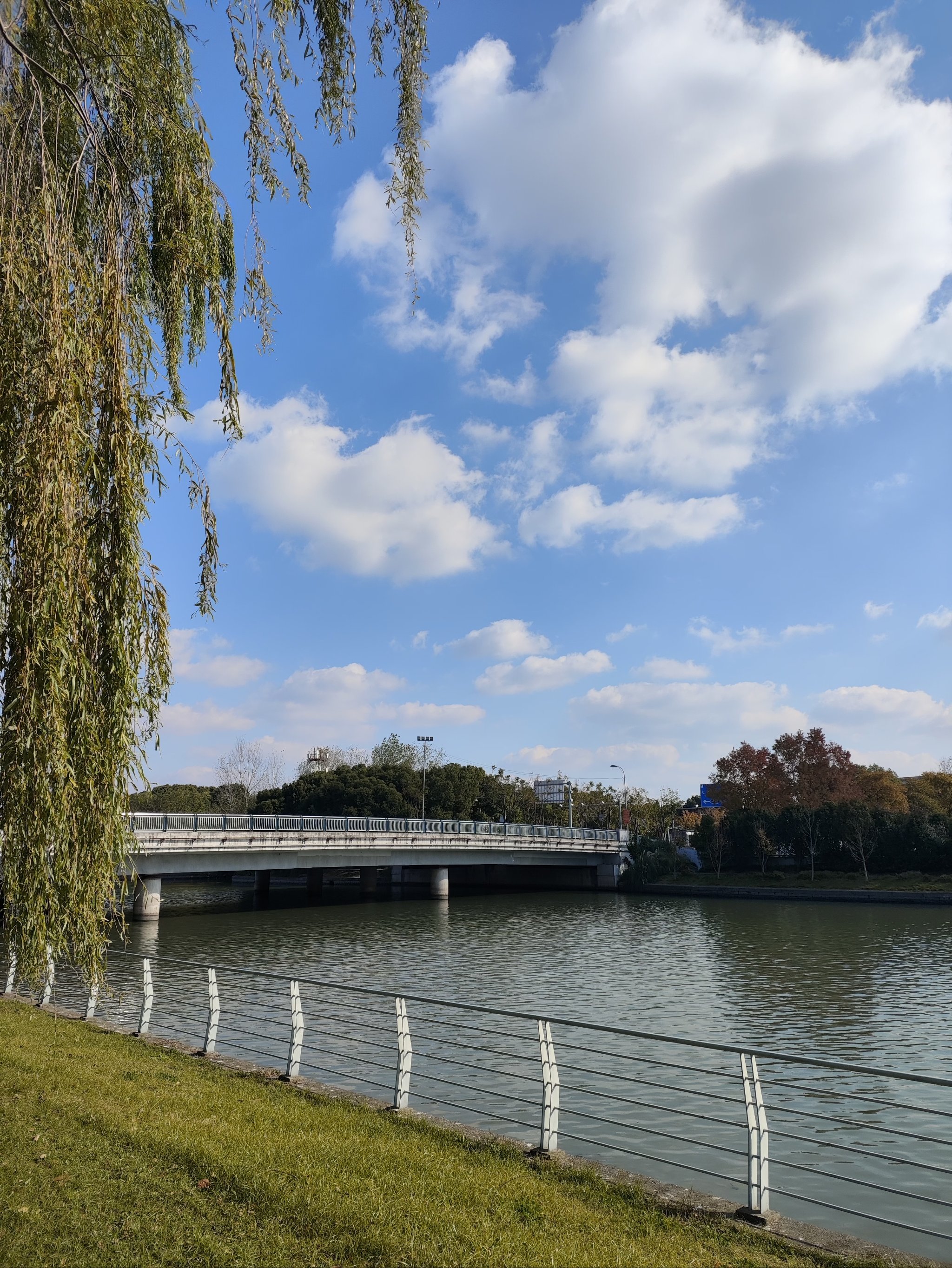 在大虹桥华翔绿地公园,领略不同凡响的现代园林